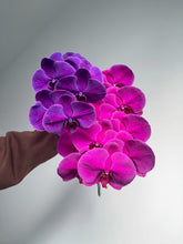 Load image into Gallery viewer, Fresh Phalaenopsis Orchid