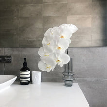 Load image into Gallery viewer, Fresh Phalaenopsis Orchid
