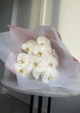 Load image into Gallery viewer, Fresh Phalaenopsis Orchid
