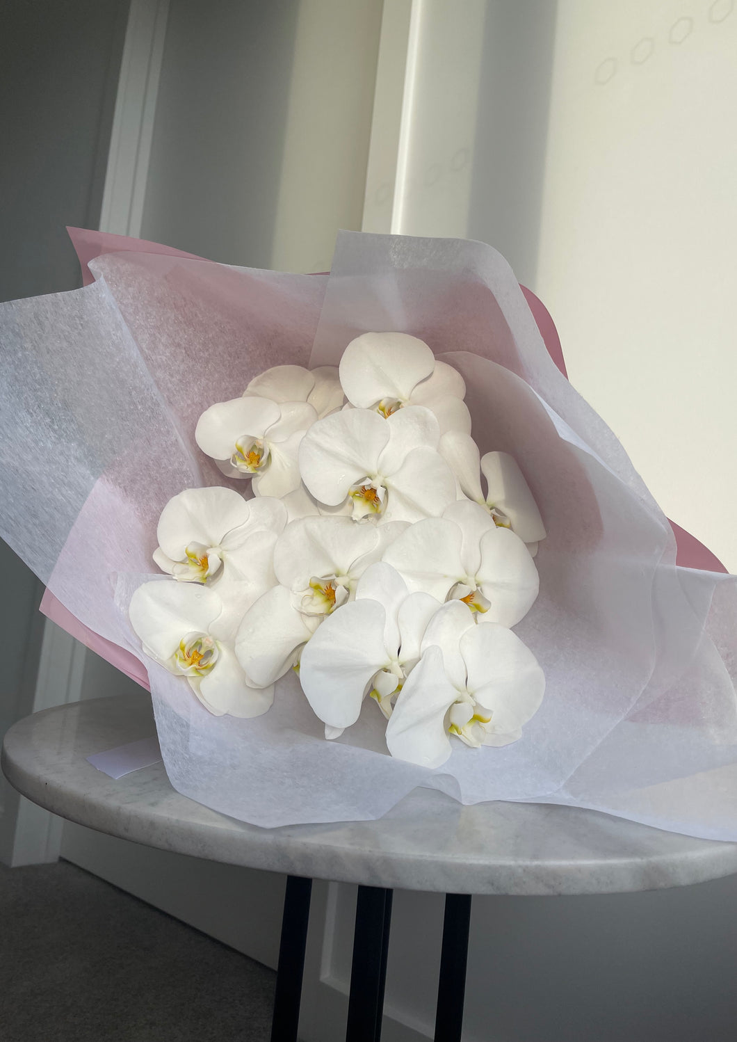 Fresh Phalaenopsis Orchid